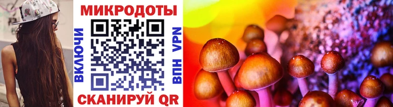 Псилоцибиновые грибы мицелий  Купить  Ачхой-Мартан 